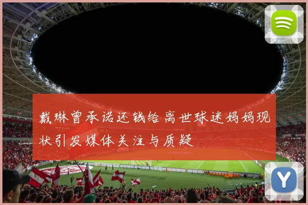 戴琳曾承诺还钱给离世球迷妈妈现状引发媒体关注与质疑