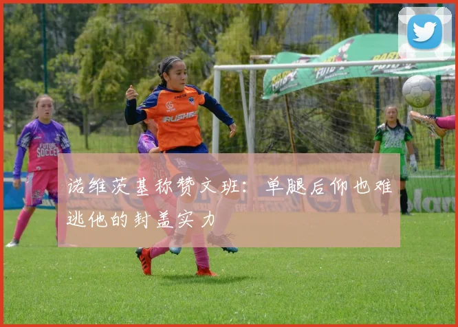 诺维茨基称赞文班：单腿后仰也难逃他的封盖实力