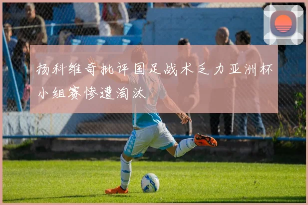 扬科维奇批评国足战术乏力亚洲杯小组赛惨遭淘汰