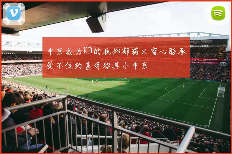 申京成为KD的抗抑郁药火蜜心脏承受不住约基奇称其小申京