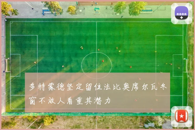 多特蒙德坚定留住法比奥席尔瓦冬窗不放人看重其潜力