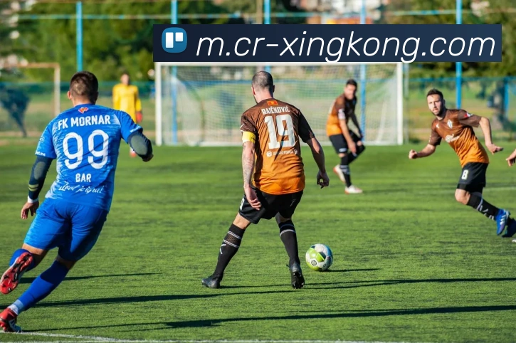 数据防护可视化